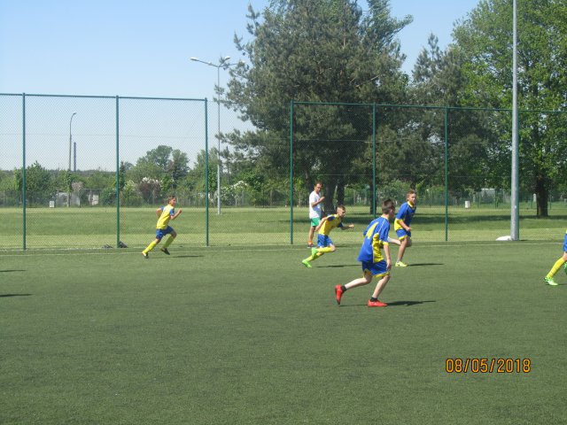 pino 12